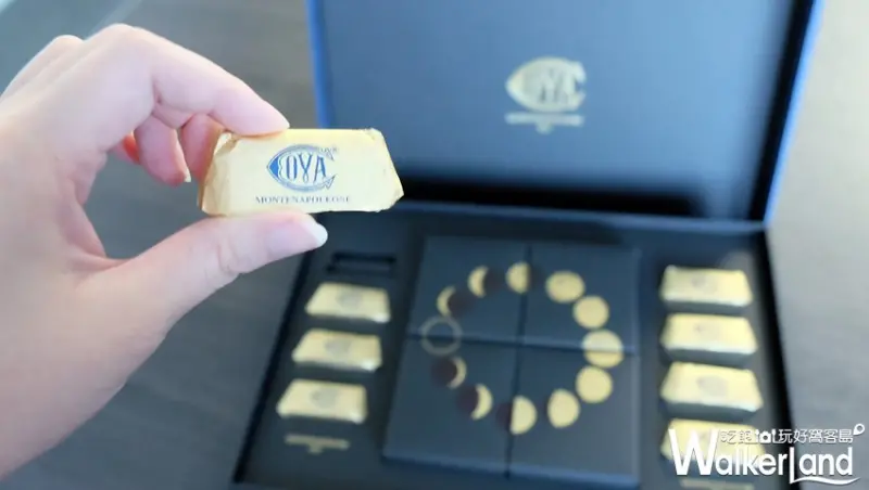 COVA / WalkerLand窩客島整理提供