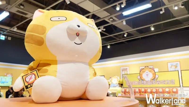 華山免費打卡「白爛貓87超商期間限定店」/ WalkerLand窩客島提供