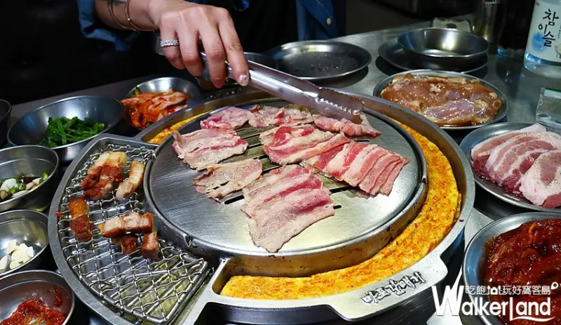 新麻蒲海鷗 / WalkerLand窩客島整理提供