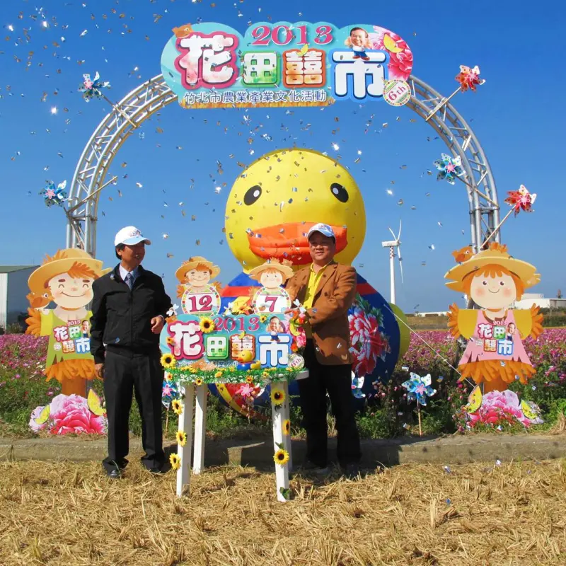 《快訊》竹北花田囍市 波斯菊花毯和稻田畫布交織大型花毯！