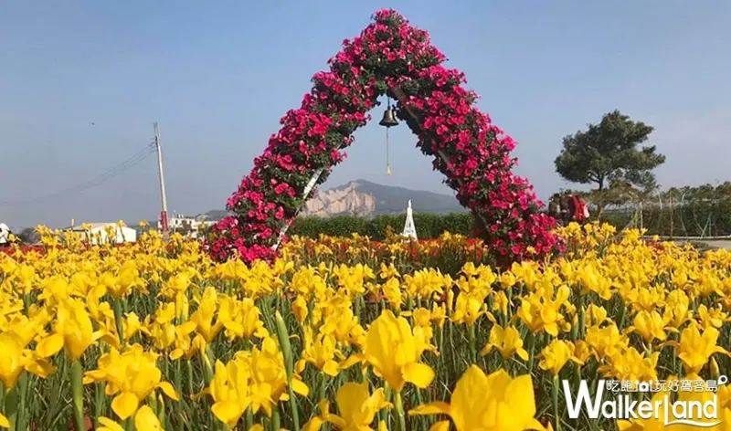 台中人一定要拍！堪稱網美必須朝聖的中社花市「鬱金香花海」盛開，再加碼推出台中人「賞花半價」優惠。