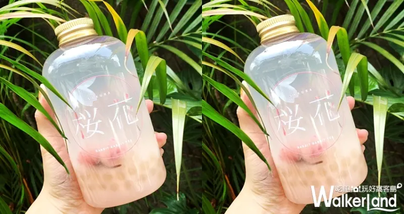 兔子兔子「櫻花飄飄」/ WalkerLand窩客島提供