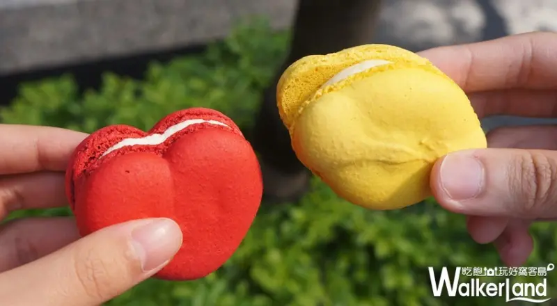 Melting Finger / WalkerLand窩客島提供