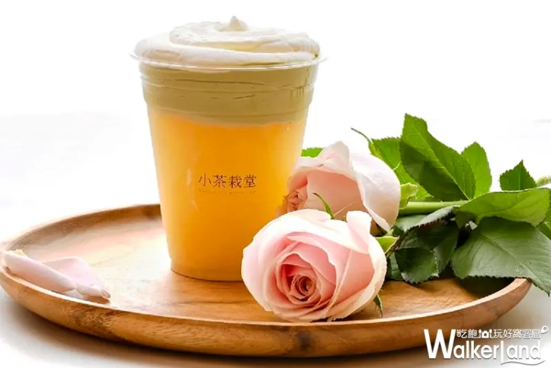 小茶栽堂 / WalkerLand窩客島整理提供