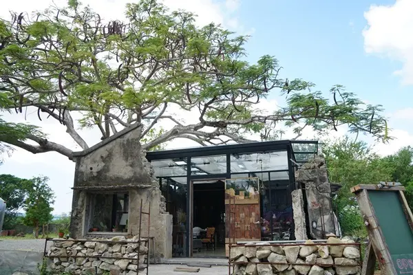 樹夏飲事 /旅遊窩客 美食好芃友 提供