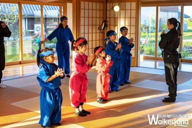 綠舞國際觀光飯店 / WalkerLand窩客島整理提供