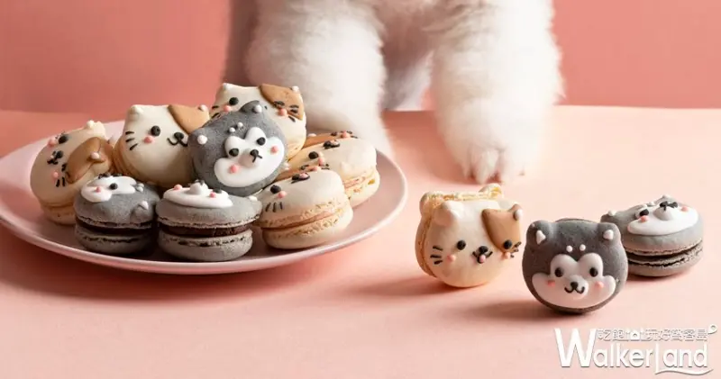 Dazzling Café / WalkerLand窩客島提供