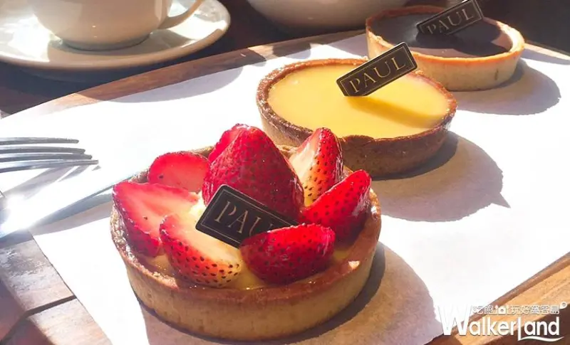 PAUL / WalkerLand窩客島提供