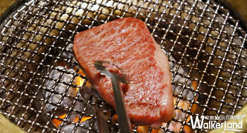 老乾杯  / WalkerLand窩客島提供