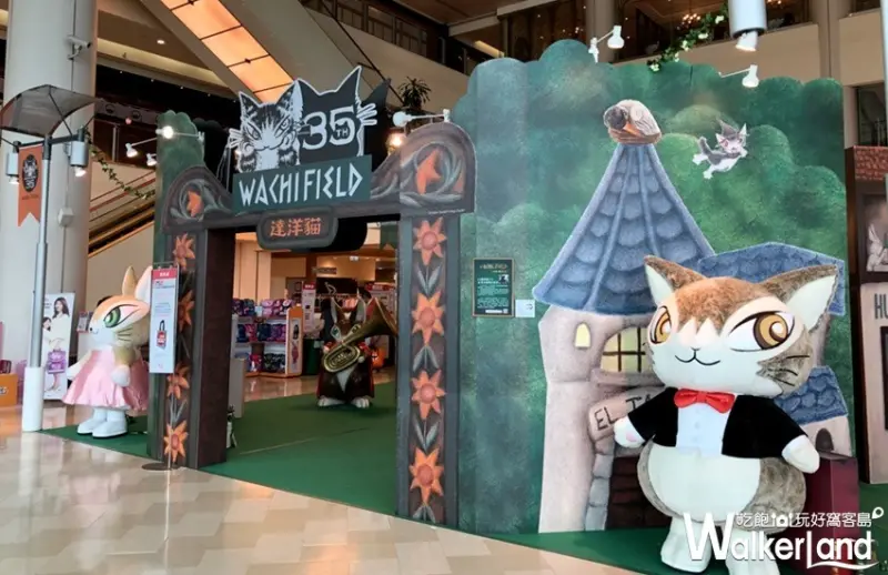 達洋貓35週年森林音樂特展/ WalkerLand窩客島提供