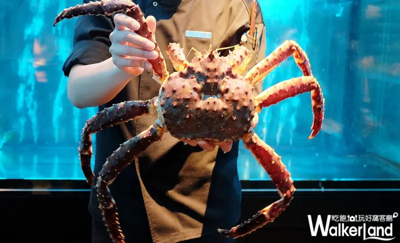 但馬家涮涮鍋二館 / WalkerLand窩客島提供