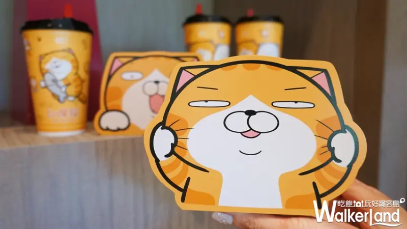 85ºC / WalkerLand窩客島提供