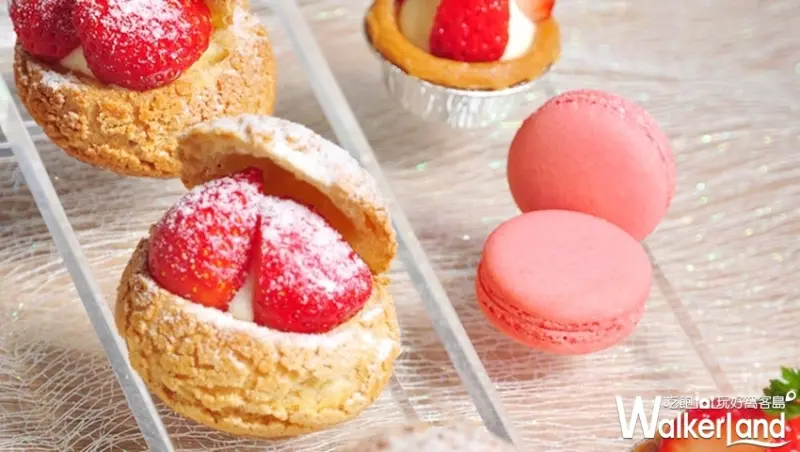 Checkers草莓季甜點 / WalkerLand窩客島整理提供