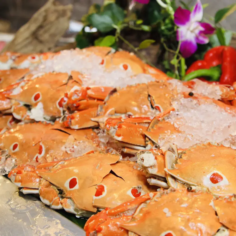 海陸百匯吃到飽居然還可以泡湯！礁溪麒麟大飯店推出春節限定版-豪華吃到飽和桌菜料理，讓闔家團圓更能體驗奢華美食與暖心溫泉。