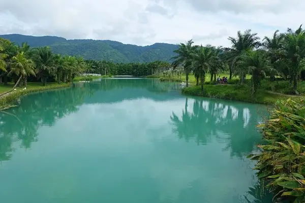 花蓮 景點 拍照 打卡 文青 網紅 懶人包 雲山水自然生態農莊 / WalkerLand窩客島提供