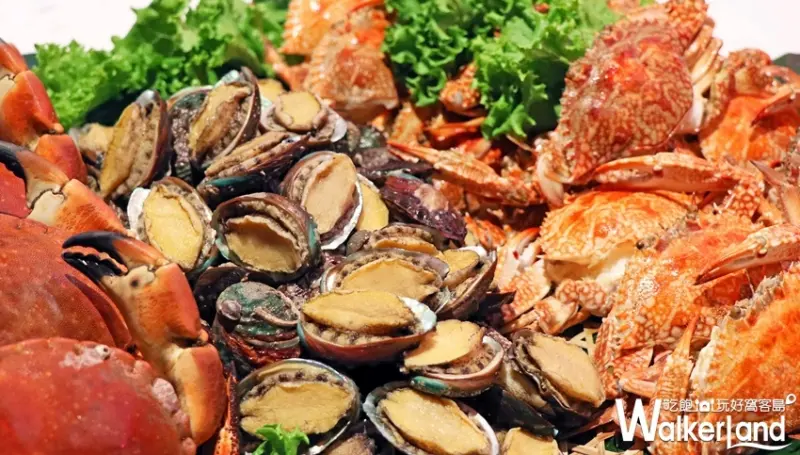 挑戰最狂吃到飽！士林萬麗酒店士林廚房自助餐吃到飽推出「波士頓龍蝦料理吃到飽」活動，再加碼假日四人同行升級帝王蟹。