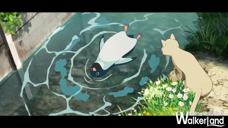 企鵝公路 / WalkerLand窩客島提供