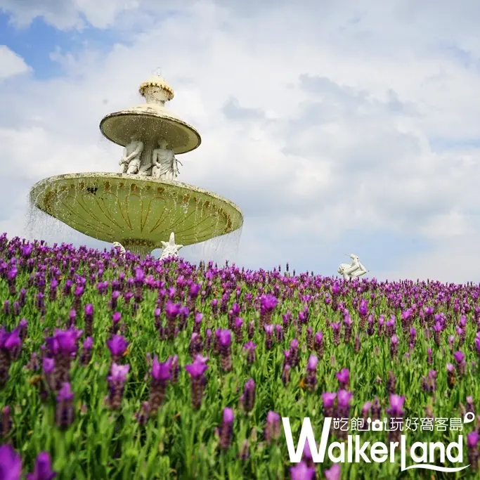 【得獎公告】仲春薰衣草盛開囉！數萬株西班牙薰衣草九族花園浪漫登場