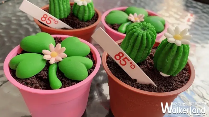 85˚C / WalkerLand窩客島提供