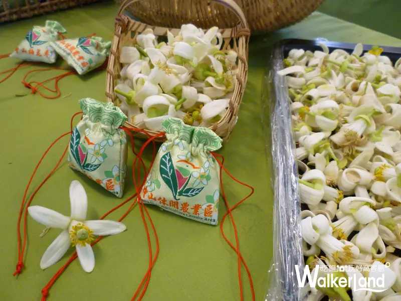 柚花,中山休閒農業園區,宜蘭冬山