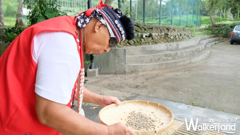 樂野部落 不插電咖啡體驗 / WalkerLand窩客島提供
