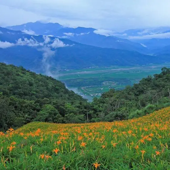 [遊記]【花蓮縣】玉里鎮赤科山。千噸神龜~三巨石~汪家古厝~萱園居～富里鄉六十石山。小瑞士觀景台~忘憂亭~盡享金針花海美景