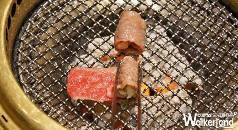 老乾杯 / WalkerLand窩客島提供