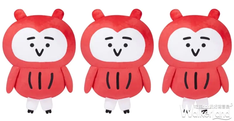 短耳貓頭鷹 / WalkerLand窩客島提供