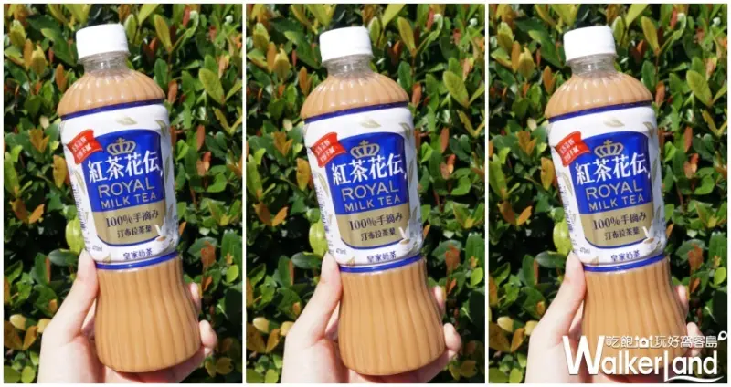 紅茶花伝 / WalkerLand窩客島提供