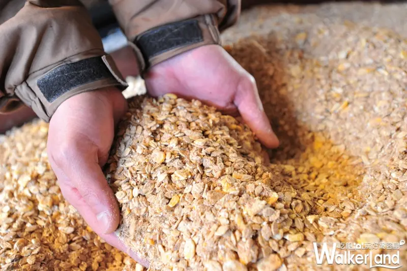 樂軒和牛專門店 日本和牛/ WalkerLand窩客島提供