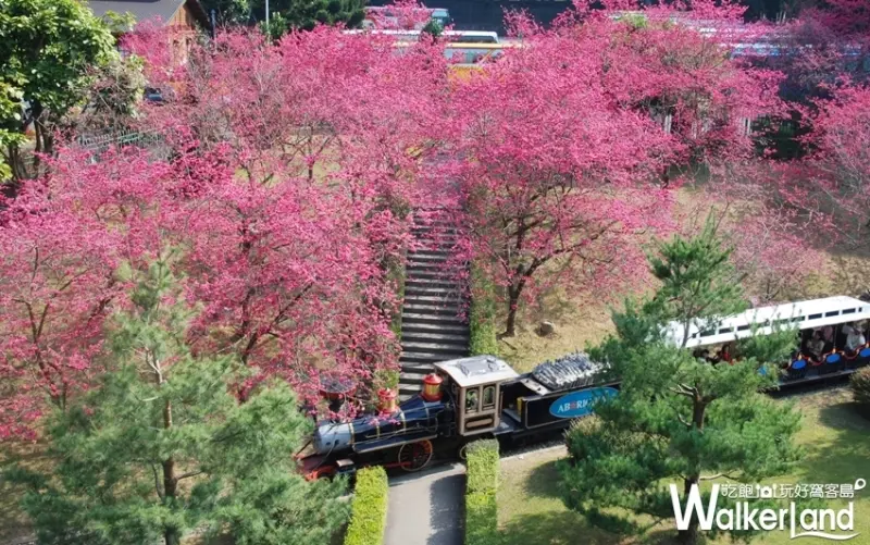 九族文化村 / WalkerLand窩客島提供