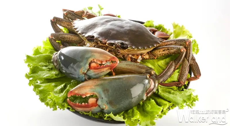 永安市場站美食「龍石鍋物」 / WalkerLand窩客島提供