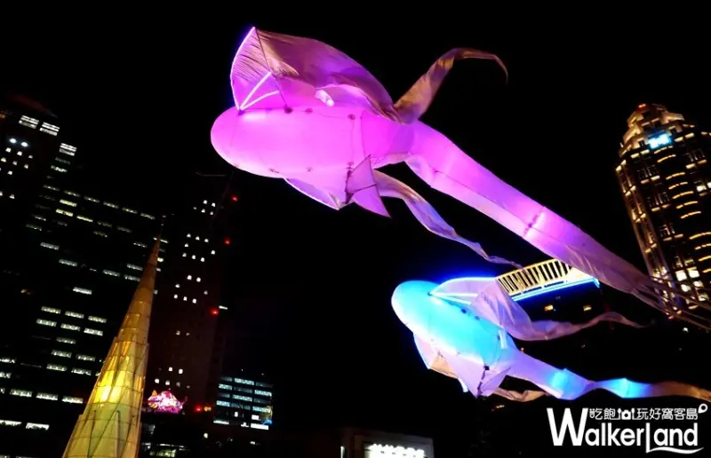 板橋Les Luminéoles光之鳥 / WalkerLand窩客島提供