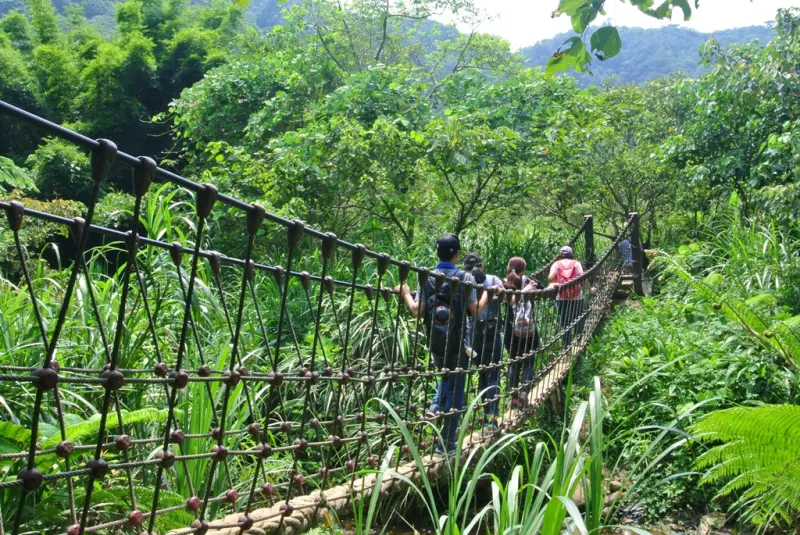 新北市十大登山步道嶄新登場！今秋就讓大家一起進入山林「森呼吸」！
