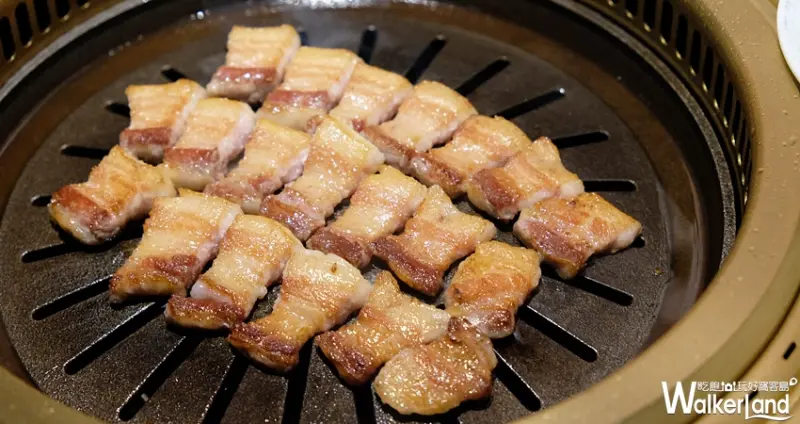 Maple Tree House 楓樹