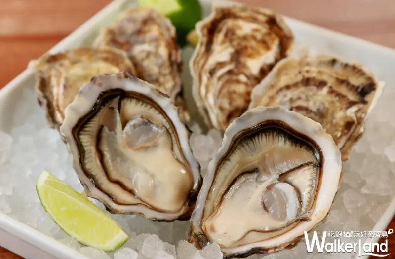 Fresh & Aged美福乾式熟成牛排館