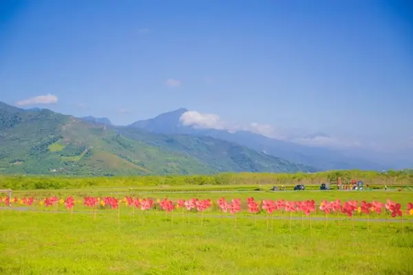 花蓮 景點 拍照 打卡 文青 網紅 懶人包 大農大富平地森林園區 / WalkerLand窩客島提供