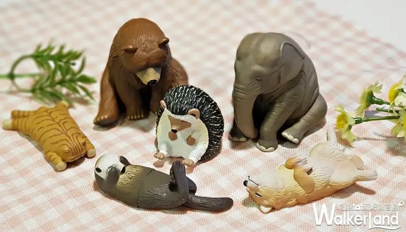 全家便利商店 / WalkerLand窩客島提供