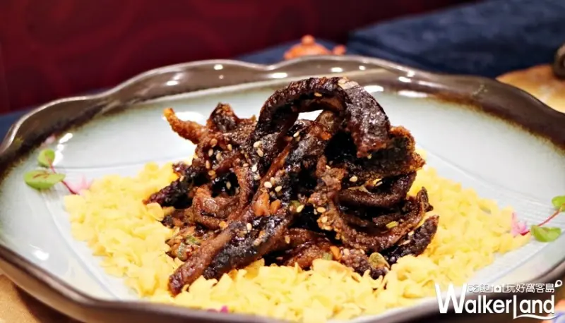 長榮國際連鎖酒店 / WalkerLand窩客島整理提供