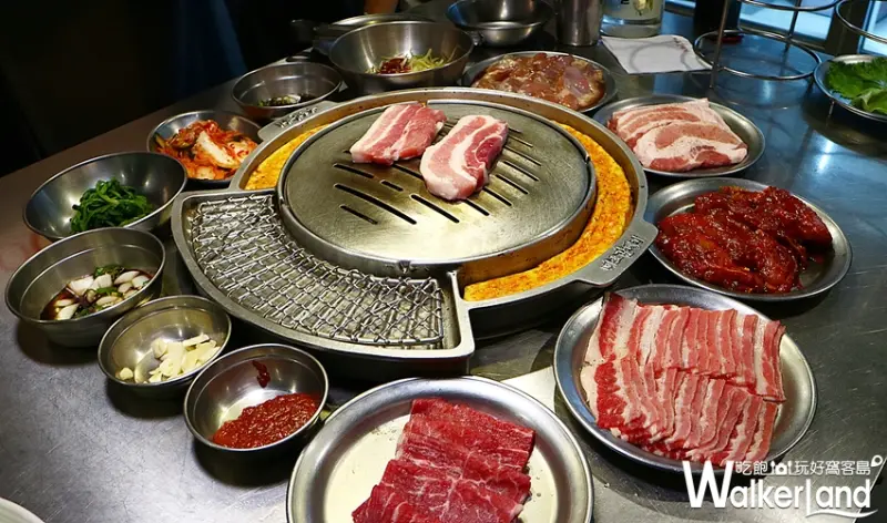 新麻蒲海鷗 / WalkerLand窩客島整理提供