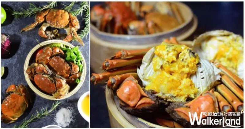 大閘蟹吃到飽 / WalkerLand窩客島提供
