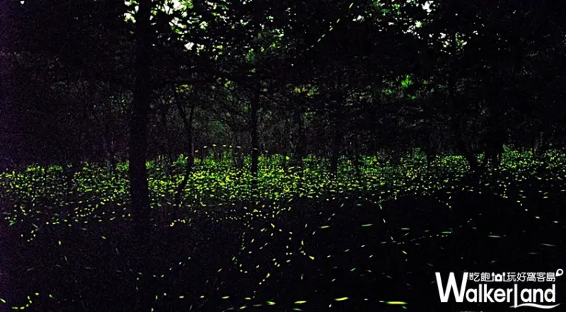 理想大地 / WalkerLand窩客島整理提供