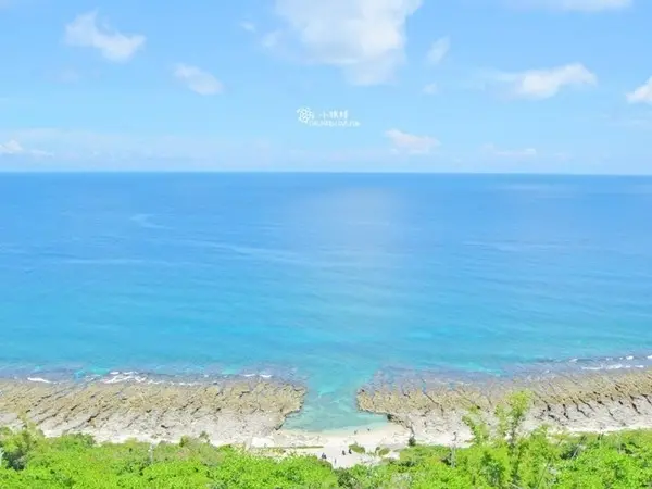 窩客揪食。愛玩提供 / 小琉球