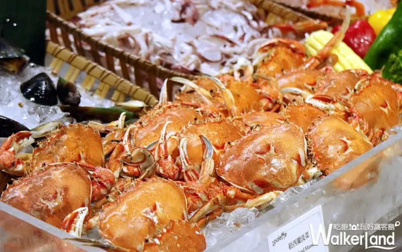 台北美福彩匯自助餐 / WalkerLand窩客島整理提供