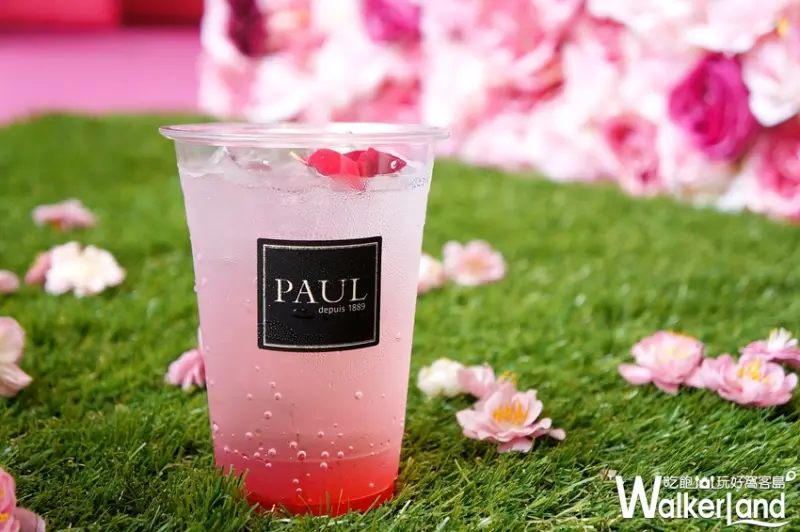PAUL玫果漸層氣泡飲 / WalkerLand窩客島提供