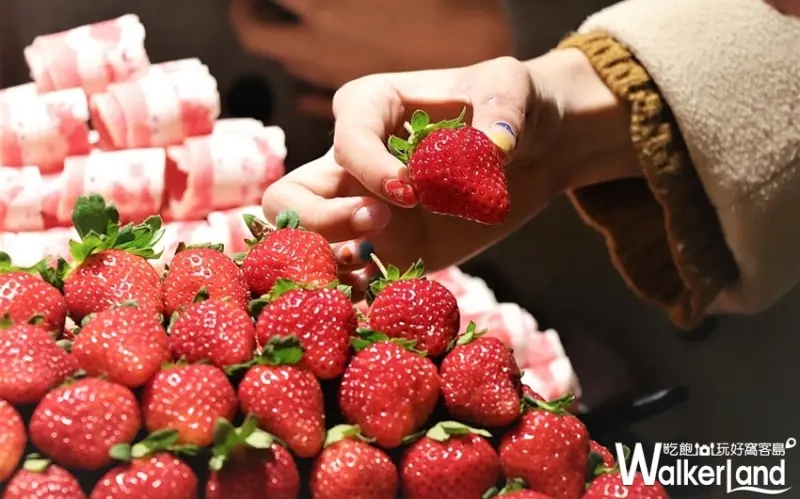 台北吃到飽火鍋「馬辣頂級麻辣鴛鴦火鍋」 / WalkerLand窩客島提供