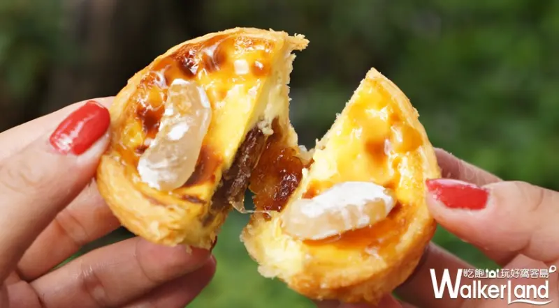 肯德基 / WalkerLand窩客島提供