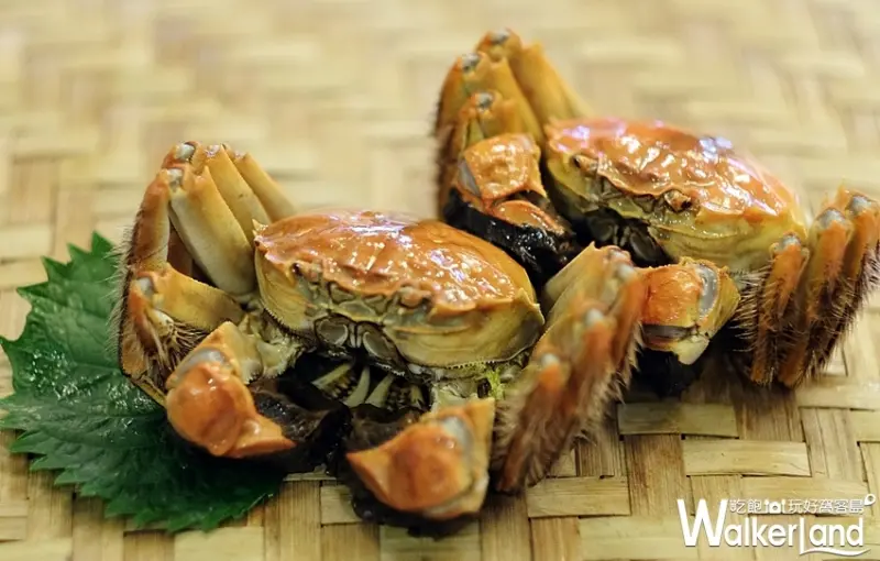 天成飯店集團 / WalkerLand窩客島整理提供