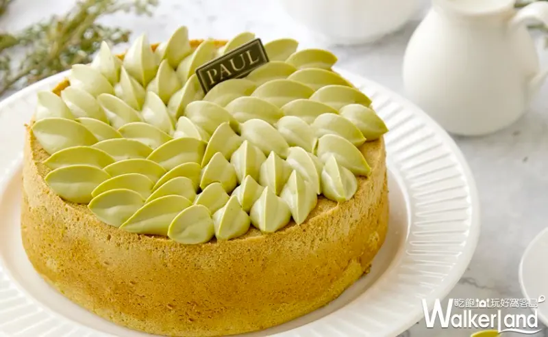 PAUL  / WalkerLand窩客島提供