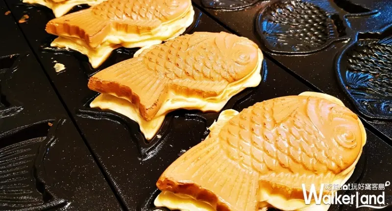 高雄夢時代 / WalkerLand窩客島提供